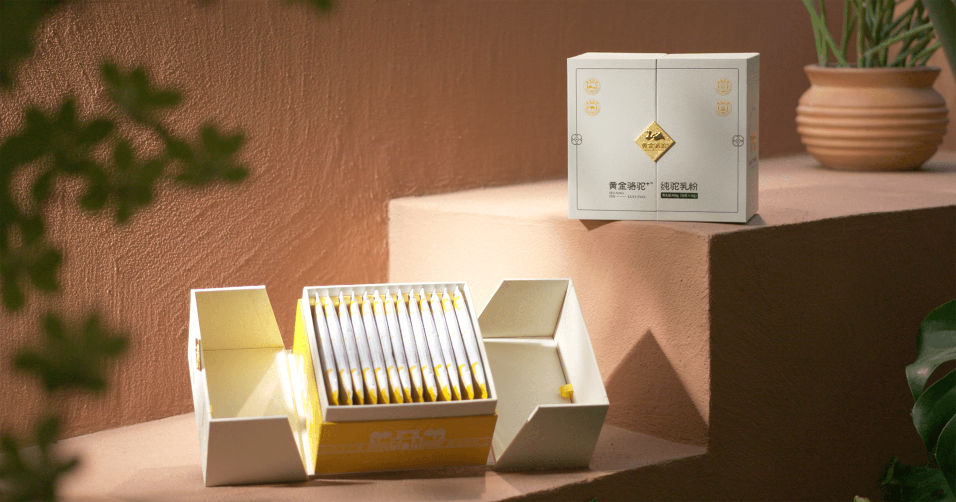 定位小众高端乳粉，474蒙特卡罗官推出驼奶品牌“黄金骆驼+”，角逐乳品新市。